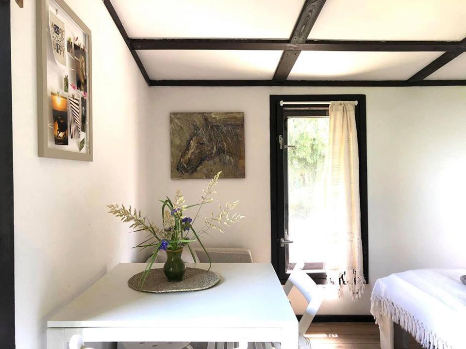 Apartamenty Lajkonik Dabrówno Exterior foto